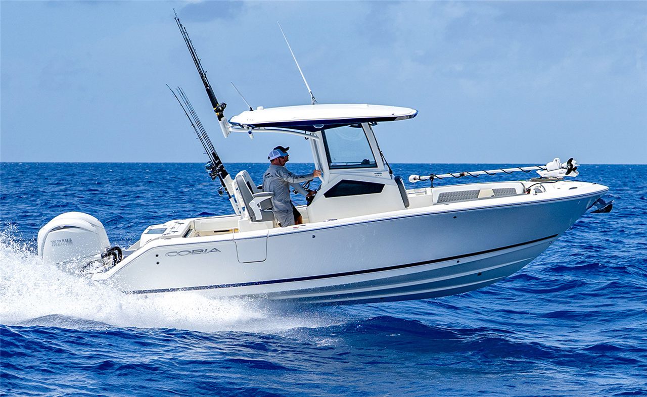 Cobia 245 CC