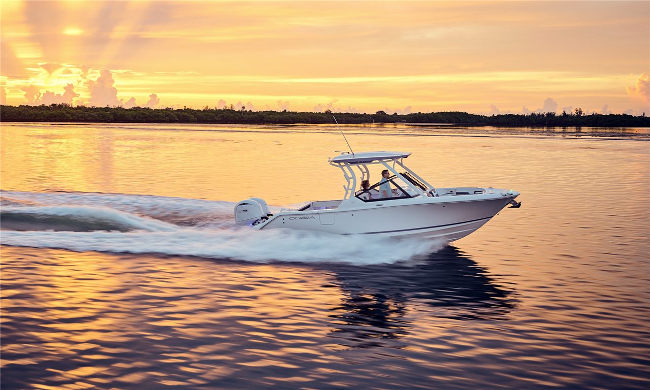 Cobia 250 DC