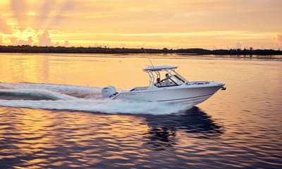 Cobia 250 DC