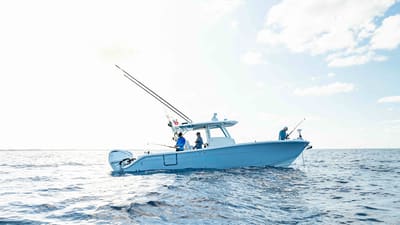 Cobia 350 CC