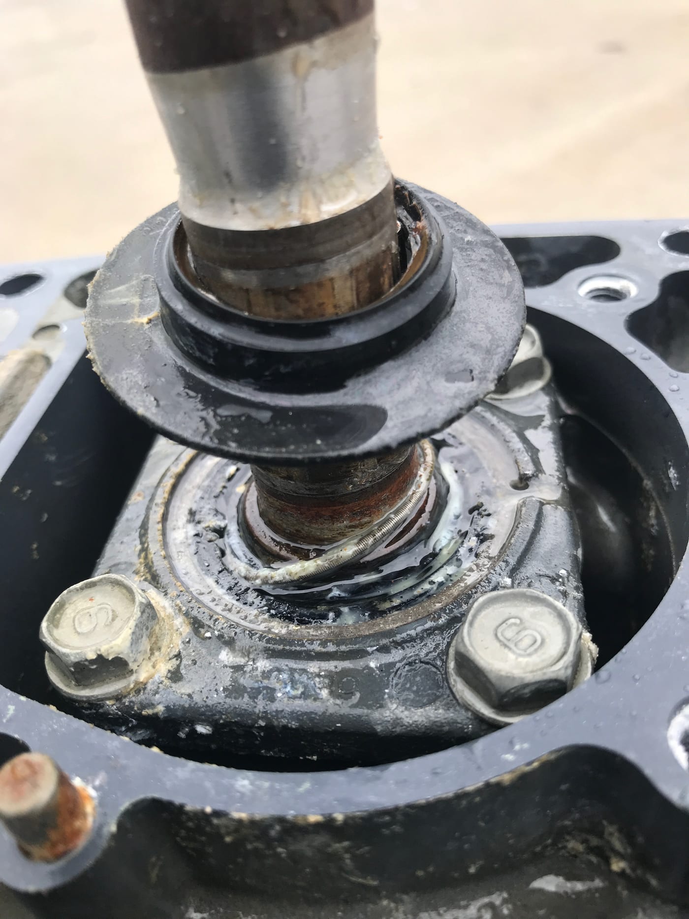 A failed driveshaft seal from the top of a Yamaha gearcase, held up off the bench, its sealing lip worn away