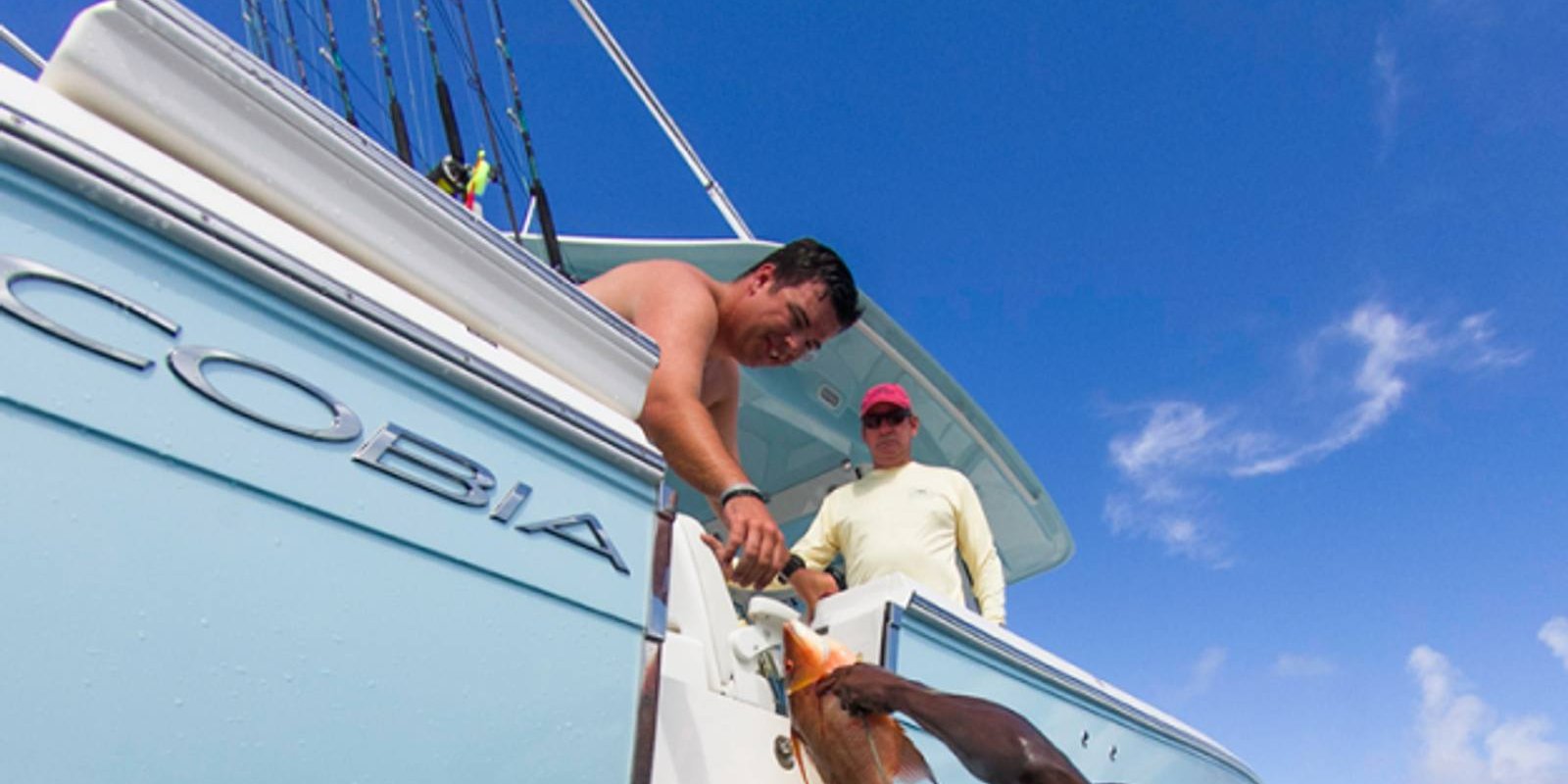 Cobia Labor Day Sale